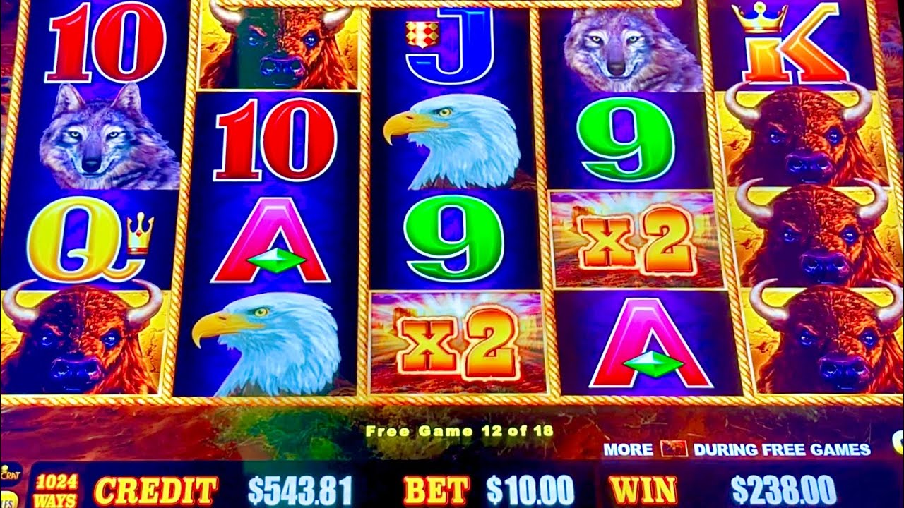 AMAZING BUFFALO LINK SESSION AT YAAMAVA CASINO 