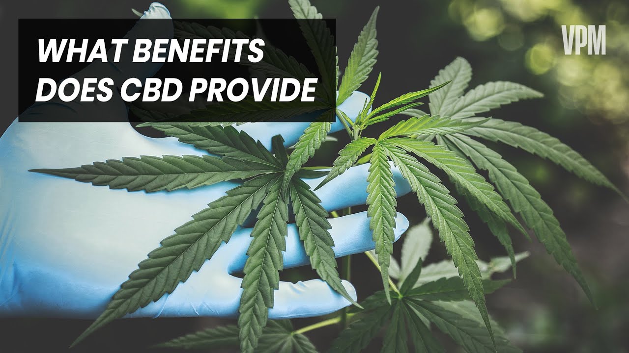 What Exactly Is CBD and Is It Safe?