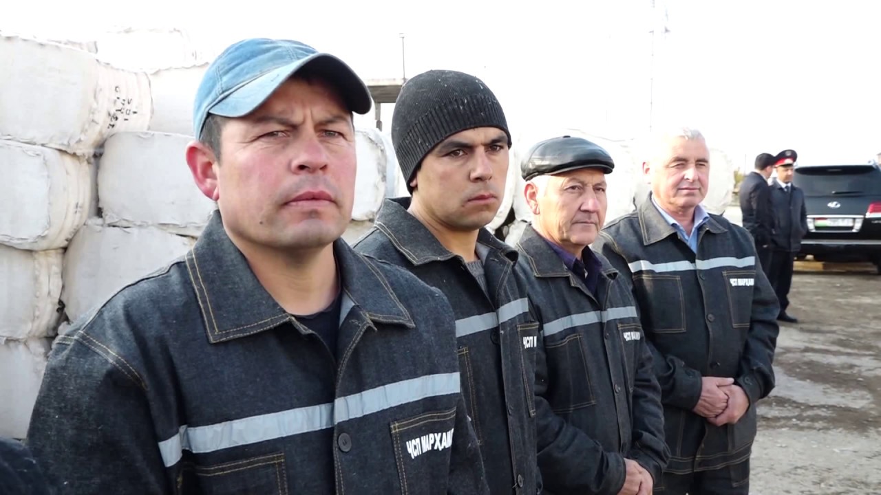 Кишоварзони ноҳияи Ашт бо ҷамъоварии 14 ҳазору 450 тонна пахта нақшаи истеҳсолро 100%​ иҷро намуданд