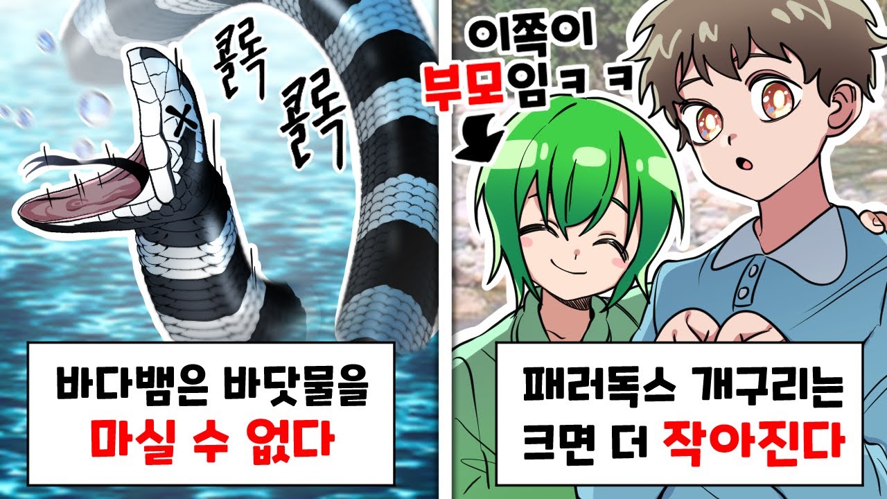 아니 이게 왜 진짜인건데 ㅋㅋㅋ [이왜진 동물 월드컵]