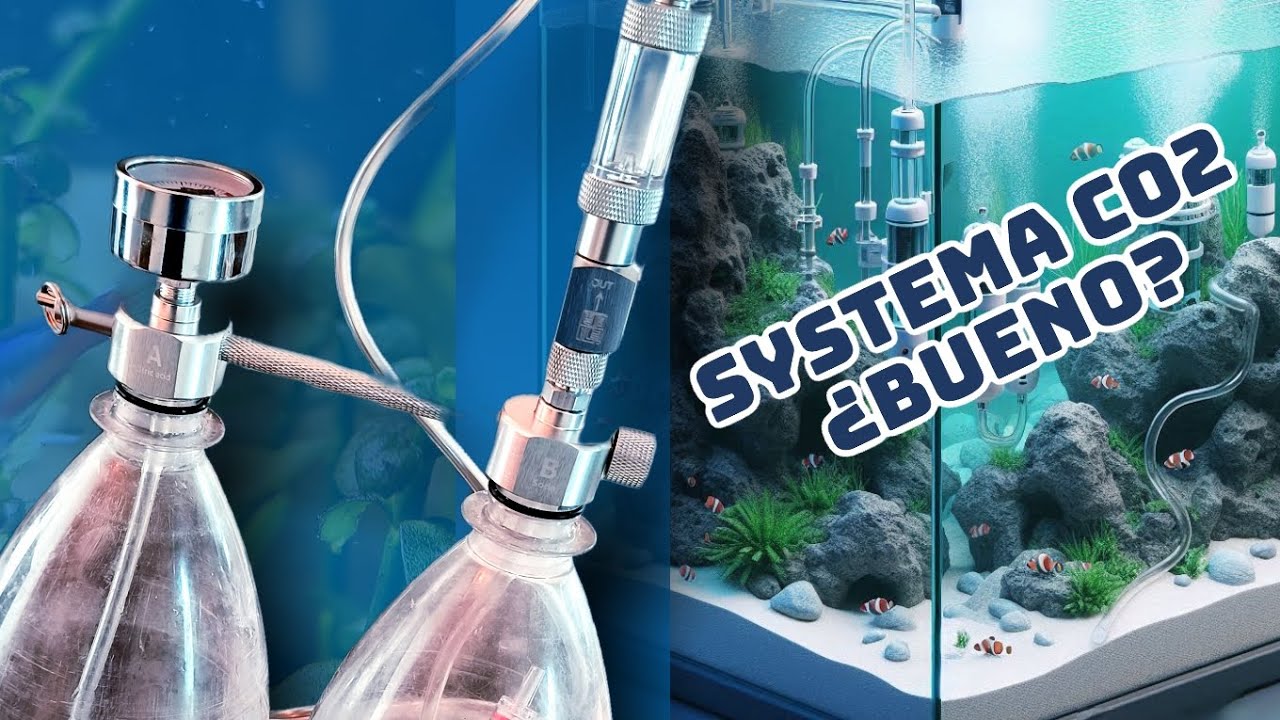 Sistema CO2 Casero para acuario