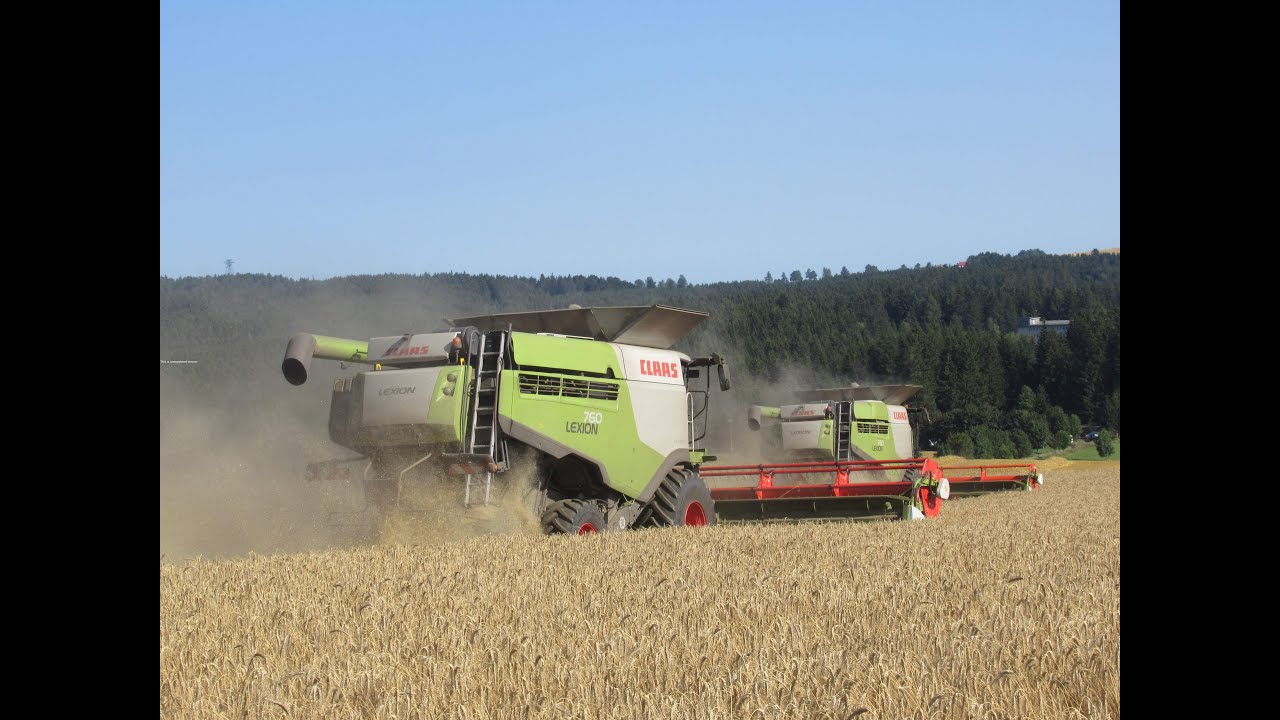 Žně / Harvest • Claas Lexion 2x 760, 750, 550 • Agro Měřín a.s. • 2019