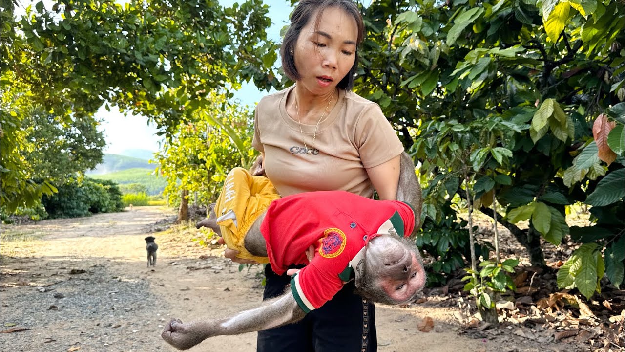 Full Version ABU Seriously ill Mom Worry Take Care