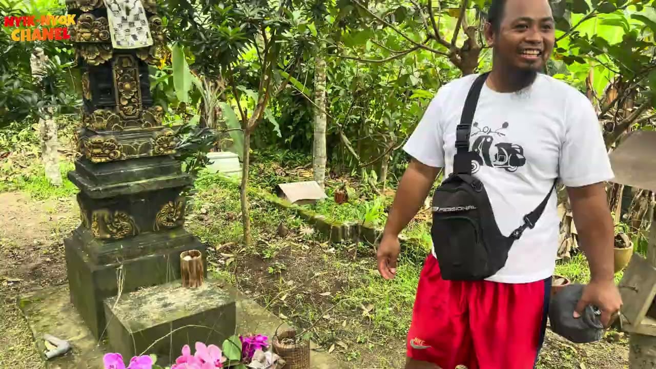 Panen nila pujan 