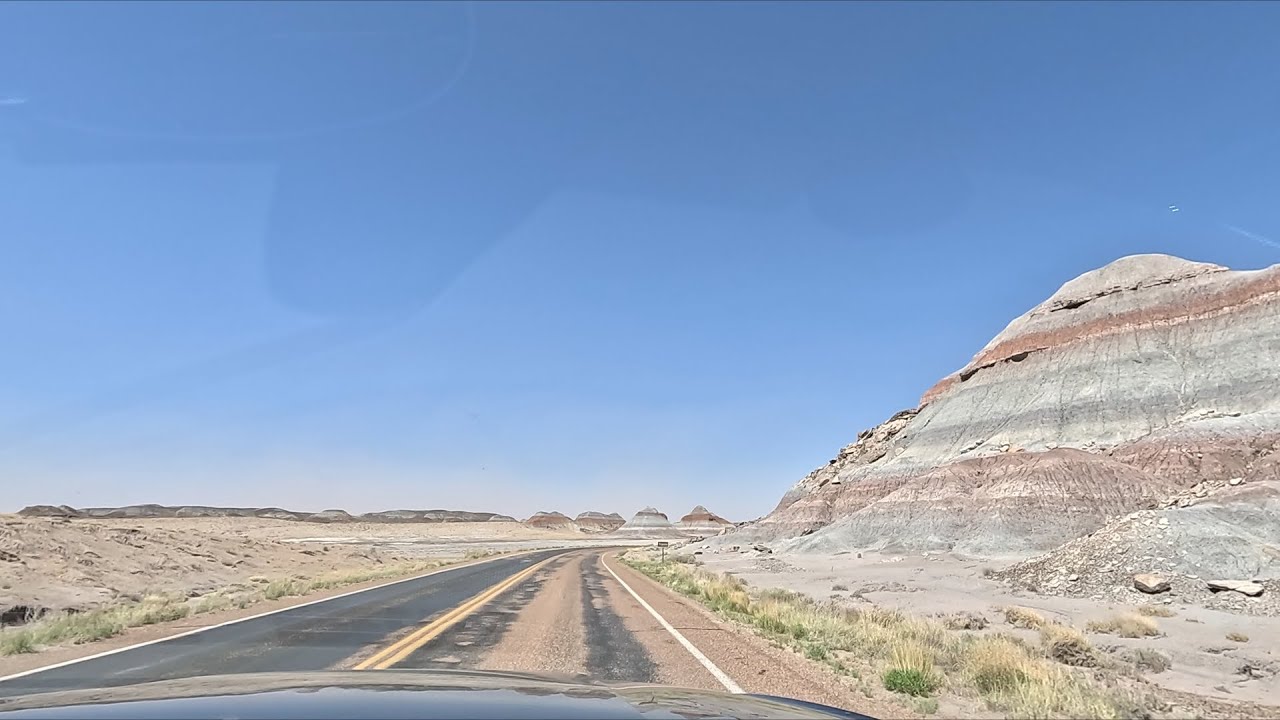 Petrified and Painted NPs -  Spring 2025