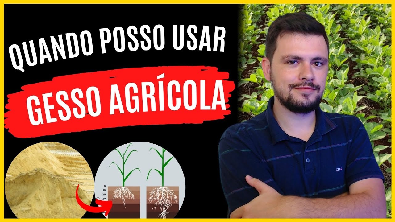 Quando devo usar GESSO AGRÍCOLA