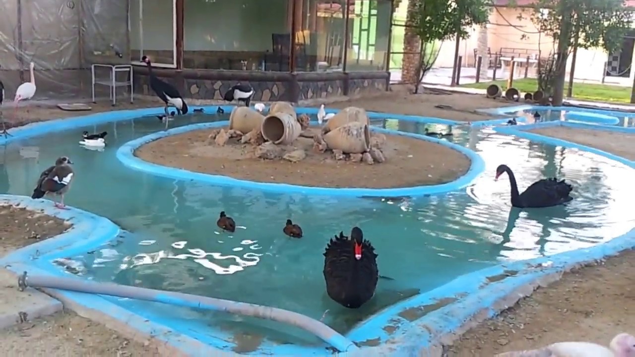 محمية سعود عذبي السويط