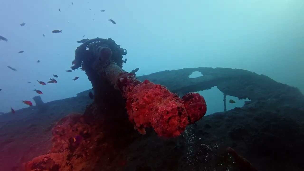 Sharm el-Sheikh Wreck & Reef 2025 Day 2