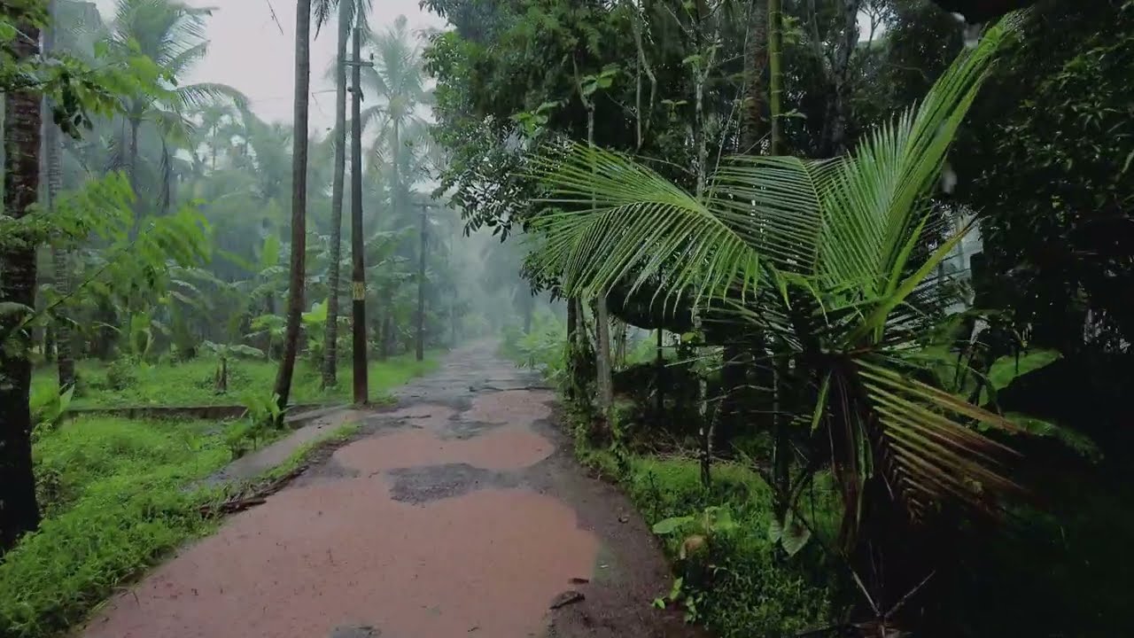 Peaceful Rainy Walk Through My Village | Relaxing Nature Sounds | Walking stories
