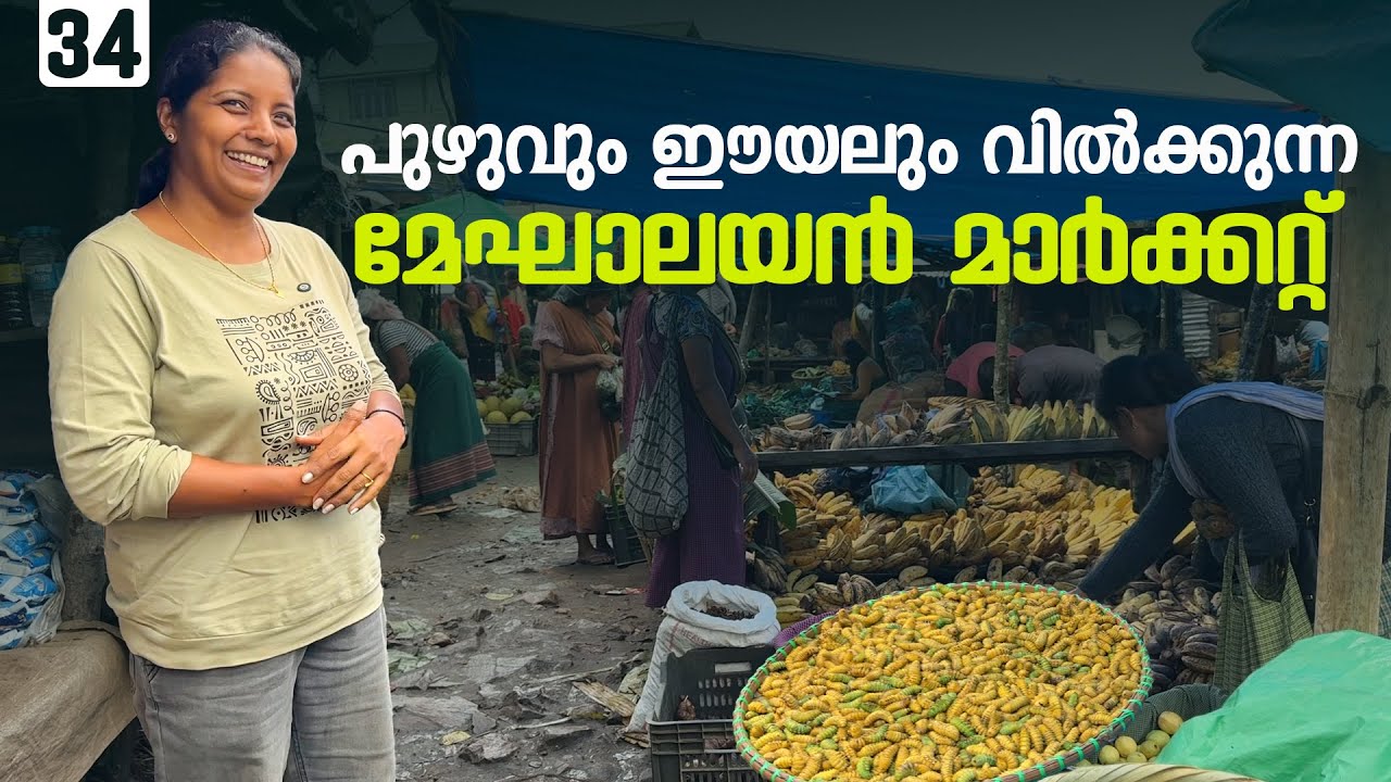 The Meghalaya market that sells worms and insects | EP - 34 | Tripura Trip | Puthettu Travel Vlog |