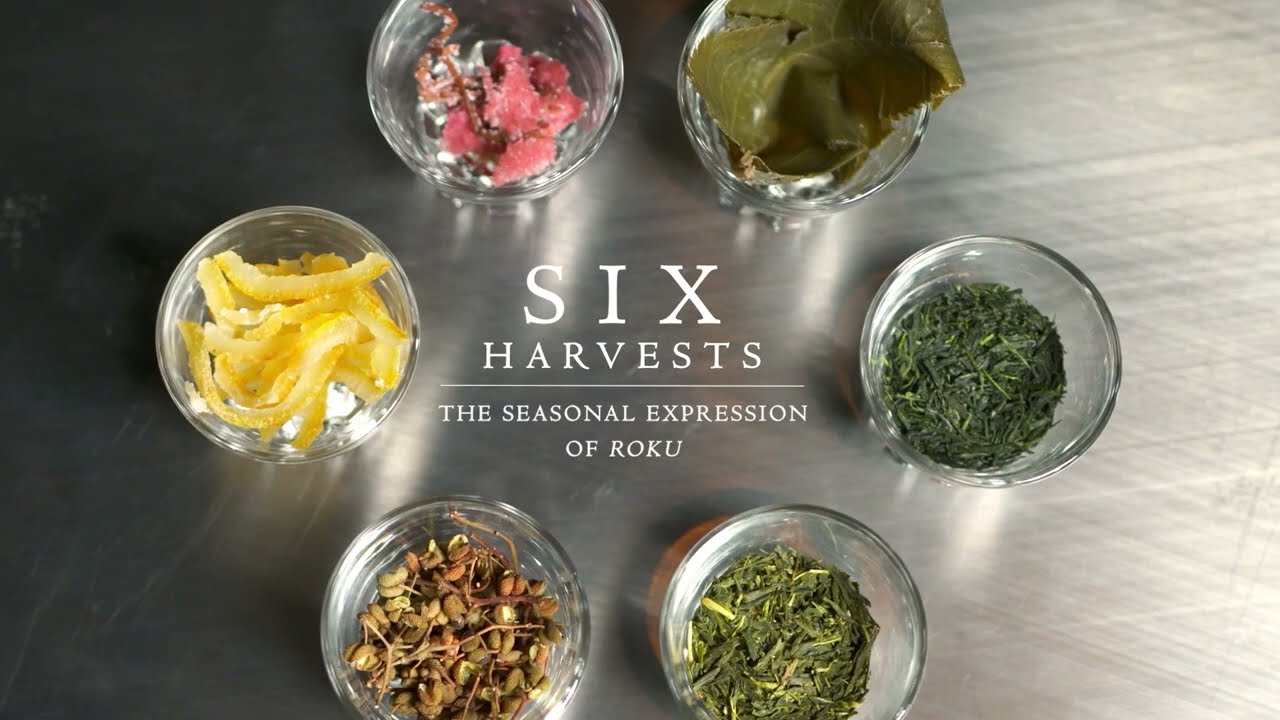 Six Harvests of Roku Gin | A Seasonal Journey Through Shun