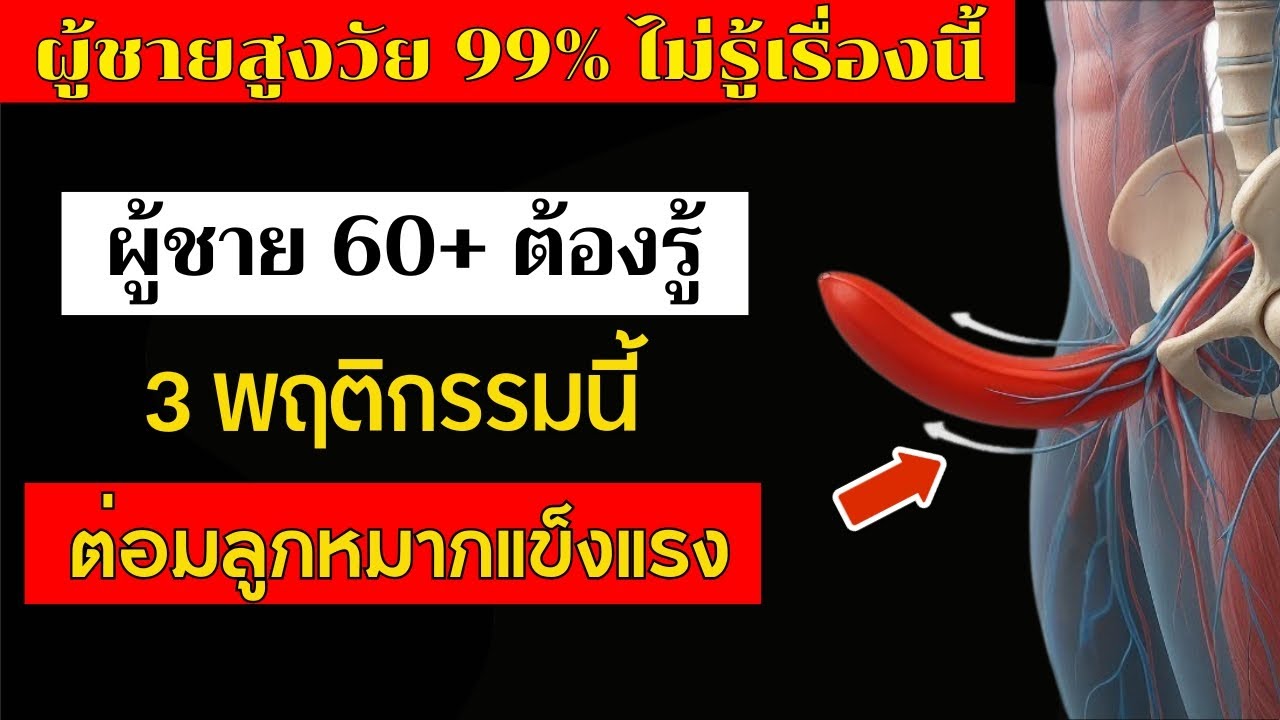 3 พฤติกรรมประจำวัน ที่ช่วยดูแลต่อมลูกหมากหลังอายุ 60