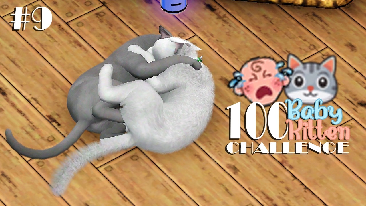 Double Pregnancy | The Sims 3: 100 Baby/Kitten Challenge #9