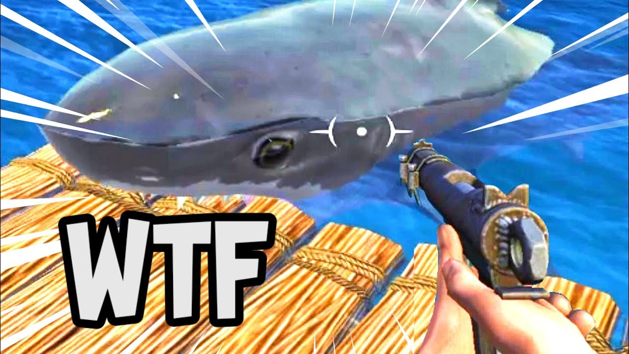 RAFT es divertido