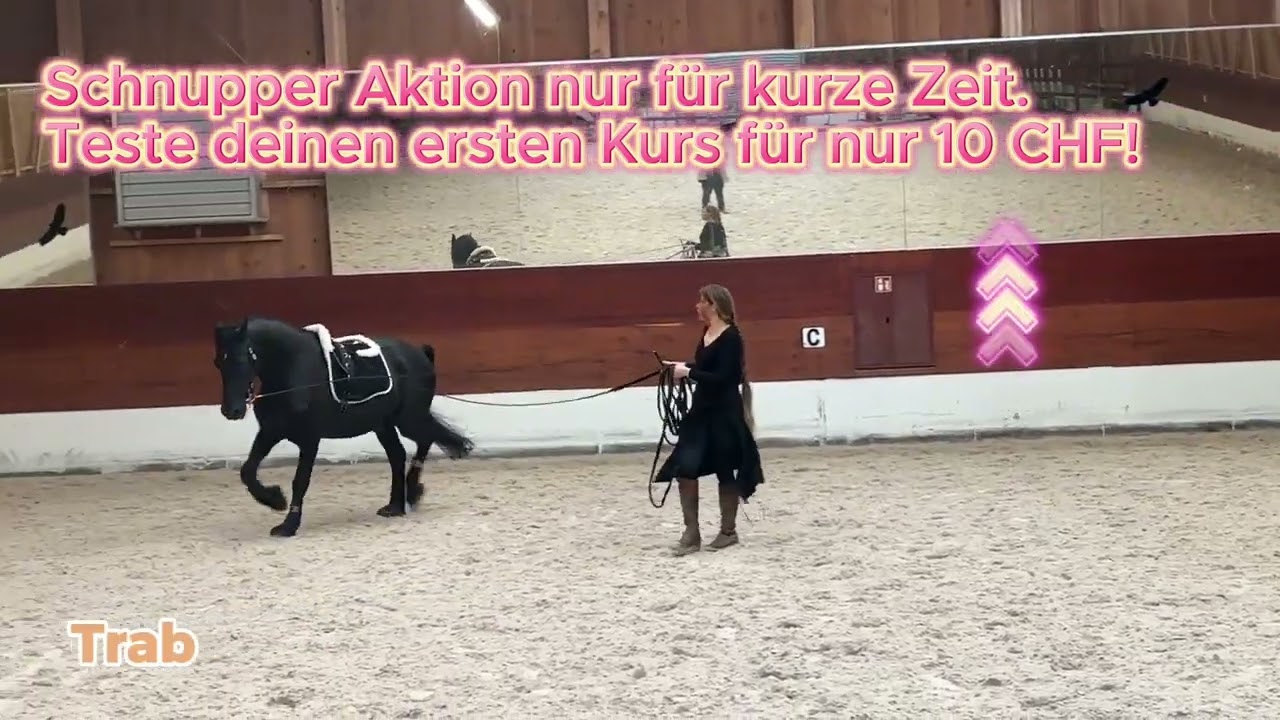 Bodenarbeit Schnupperkurs Ausschnitt