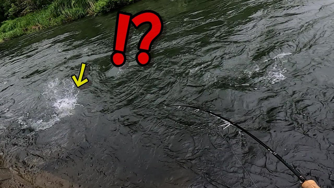 【水面爆発！】急に現れたサクラマスのバイトがえぐすぎた！！