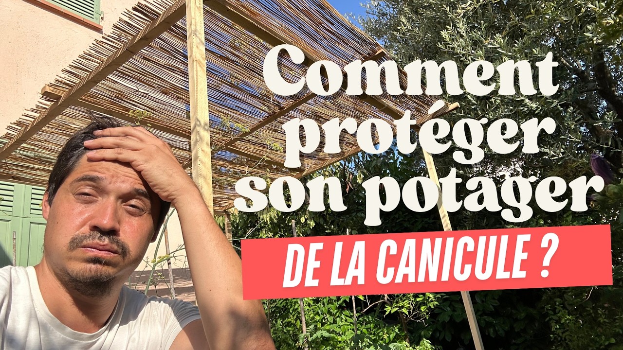 Comment j'ai prot&eacute;g&eacute; mon Potager de la Canicule et de la S&eacute;cheresse [5 Astuces]