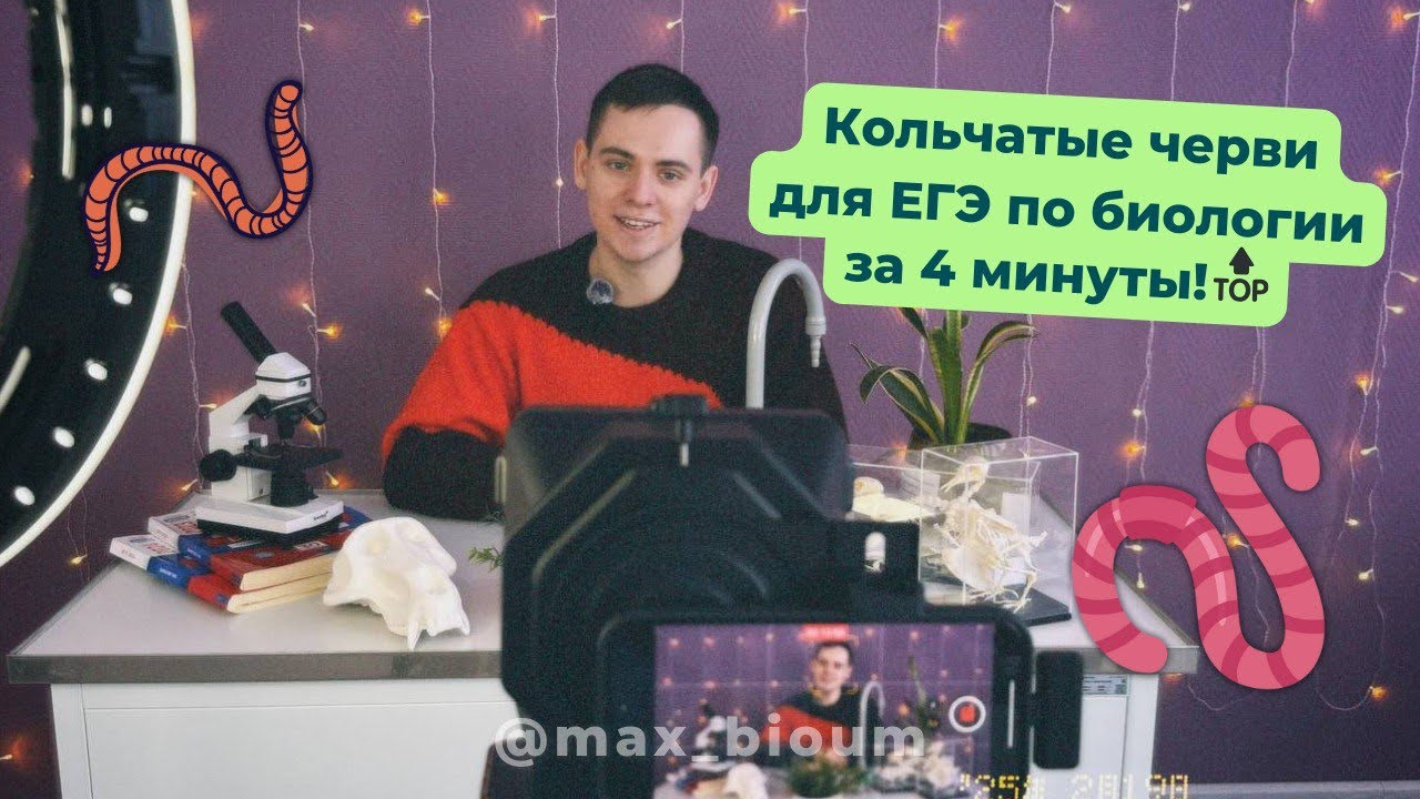 ⚡️Кольчатые черви для ЕГЭ по биологии за 4 МИНУТЫ