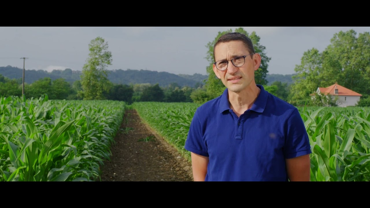 Découvrez DKC5404 avec nos sélectionneurs DEKALB