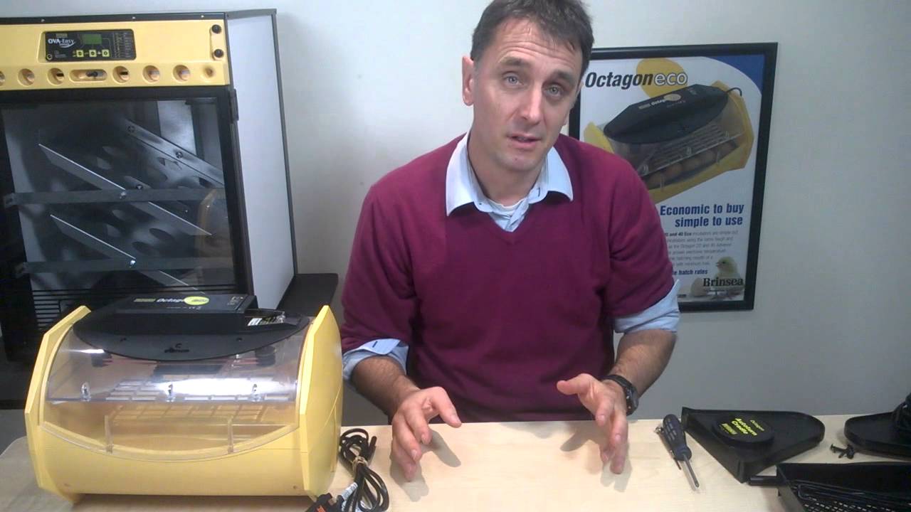 Brinsea Octagon Eco 20 & 40 Egg Incubator  Clip 2   Setting up and adjusting temperature