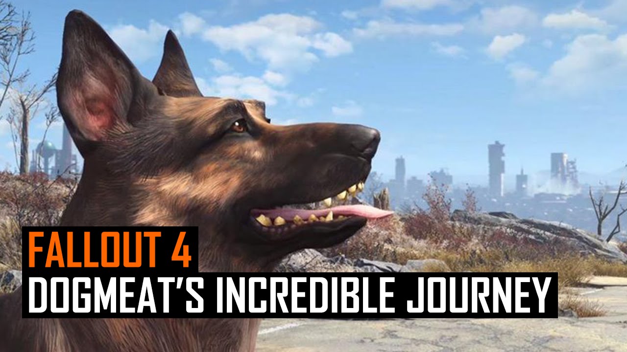 Fallout 4: Dogmeat's Incredible Journey Home