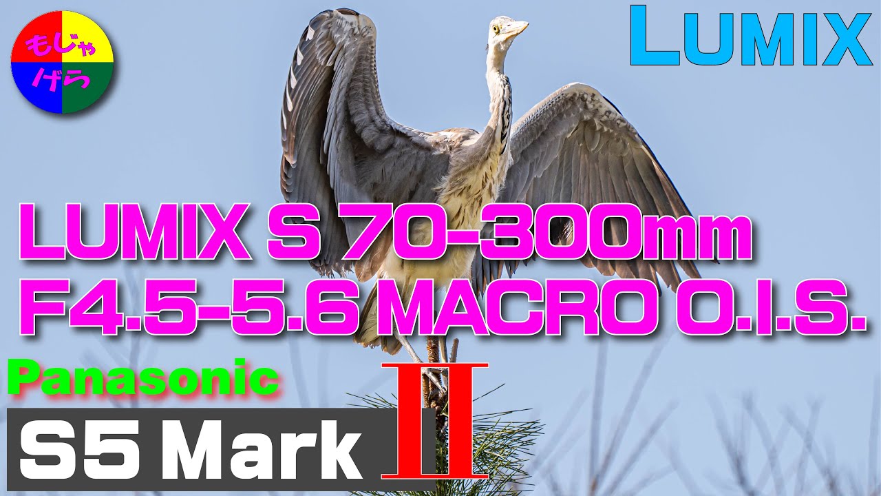 【S5M2】Panasonic LUMIX DC-S5M2 + LUMIX S 70-300mm F4.5-5.6 MACRO O.I.S.ファーストインプレッション