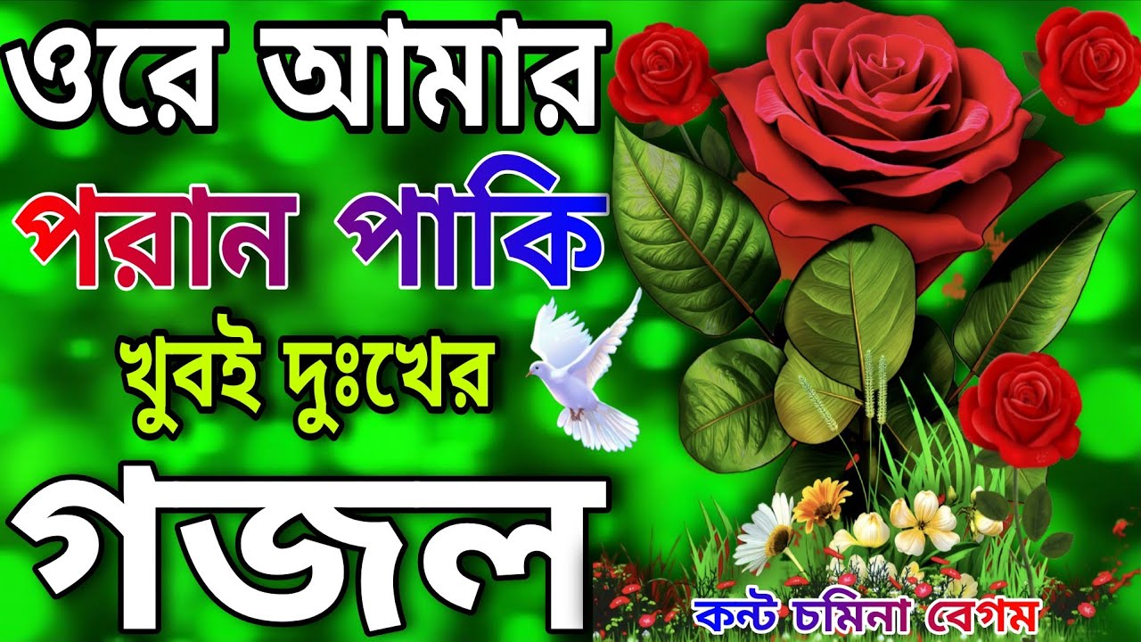 ওরে আমার পরান পাকি খুবই দুঃখের প্রান উজাড় করা সেরা মায়ার কণ্ঠে গজল // Somina Begum // New Gojol