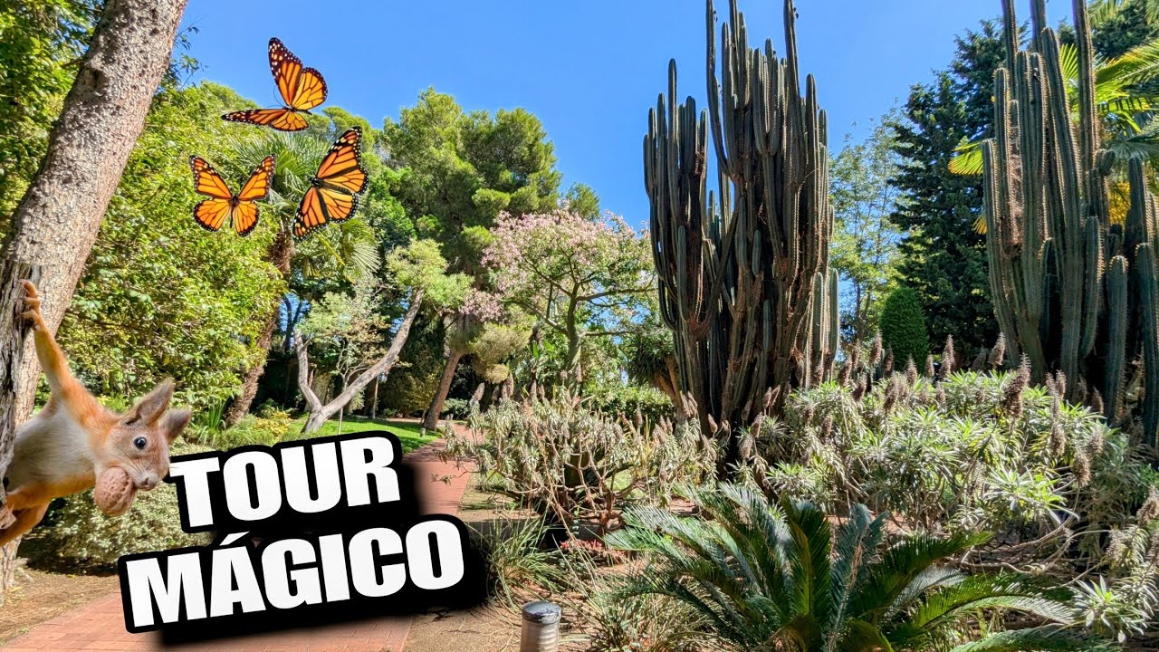 🌵TOUR CACTUS  GIGANTES Descubre un JARDÍN MÁGICO y REFLEXIONES profundas