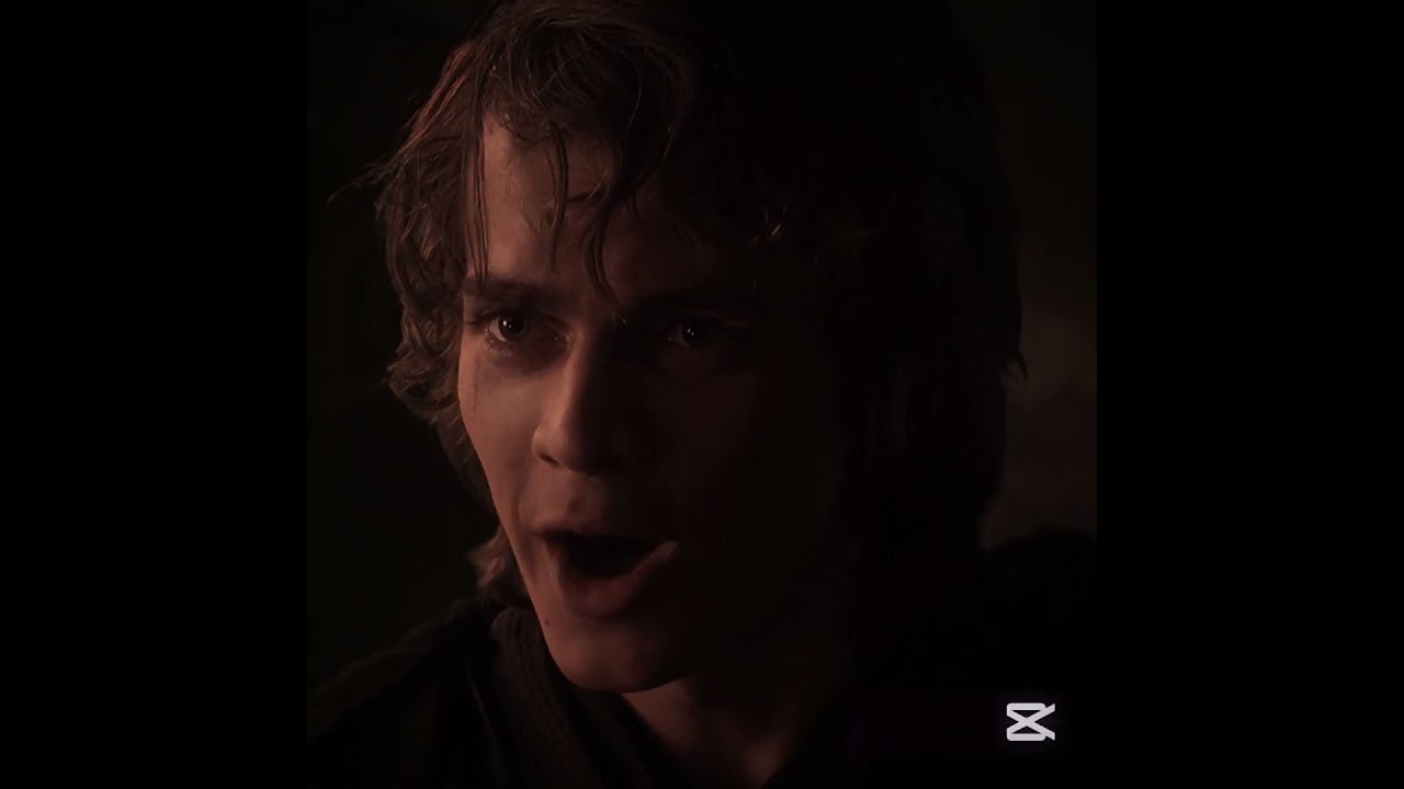 It's hard to lose a chosen one||Anakin and Padme||Sia Elastic Heart||