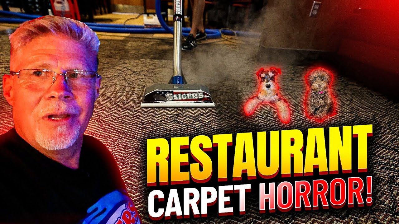 Mysterious Science? What We Discover Cleaning this Dirty Restaurant Carpet