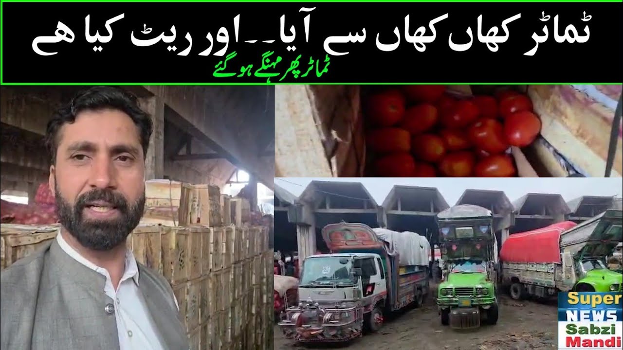 Eid Se Pehle Tomato Rate Down 😲 | Tamatar Sasta Ho Gaya | 70-75 Gaari Supply | Lahore Sabzi Mandi 🍅