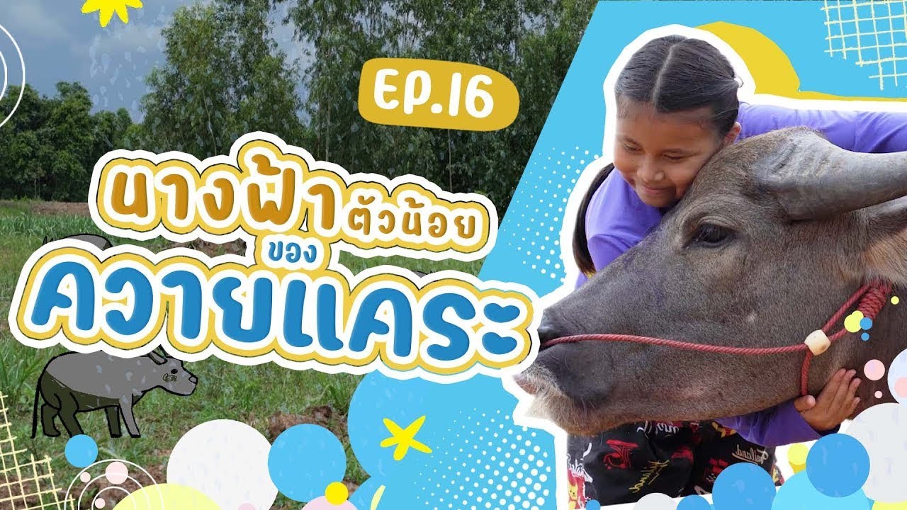 รายการ Proud เว่อร์ EP.16 นางฟ้าตัวน้อยของควายแคระ