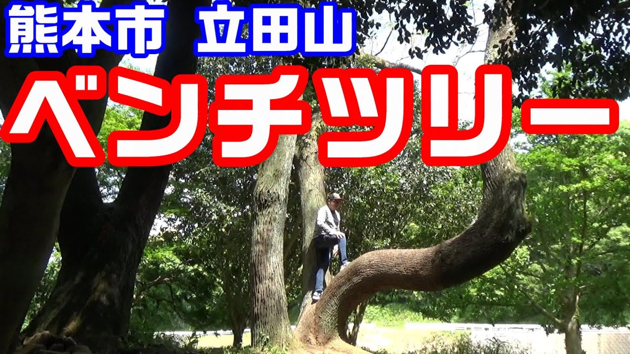立田山のベンチツリー【CC110モトブログNC750X】熊本市