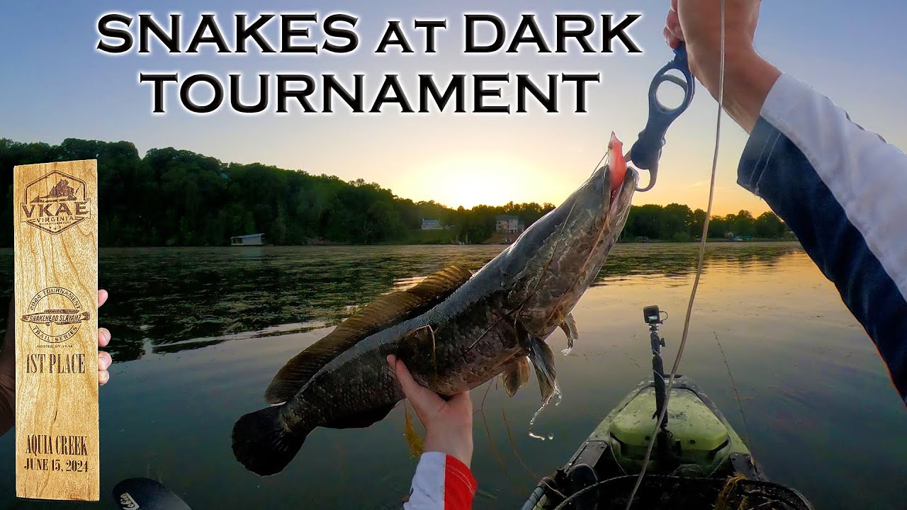 Snakeheads at DARK: 1st Place WIN! 3-Dragon Stringer & Keys to Success at VKAE Tournament