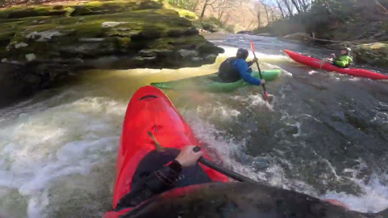 14in Raven Fork C1 lappa. Carnage