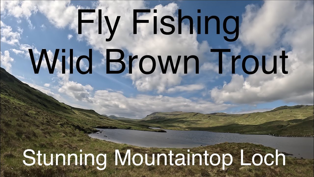 Great Day Fly Fishing a Remote Highland Loch - Wild Scottish Brown Trout