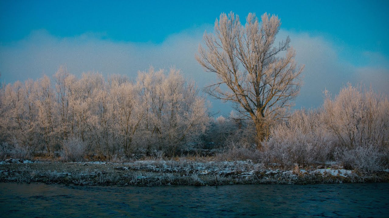 Struma River In Winter - A Cinematic short film | BMCC 6K