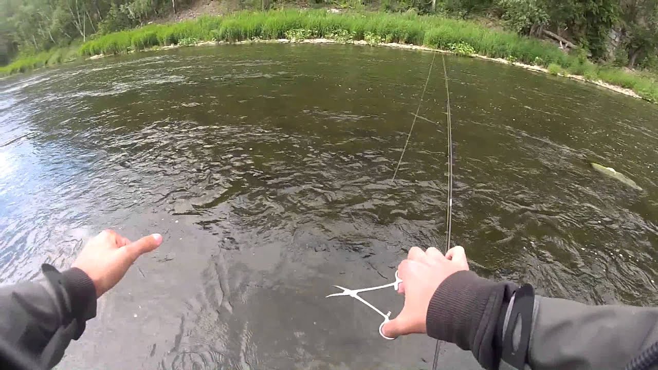CoolBaits - Голавлик Большой Сатки / Chub of Big Satka river (13.07.2014г.)