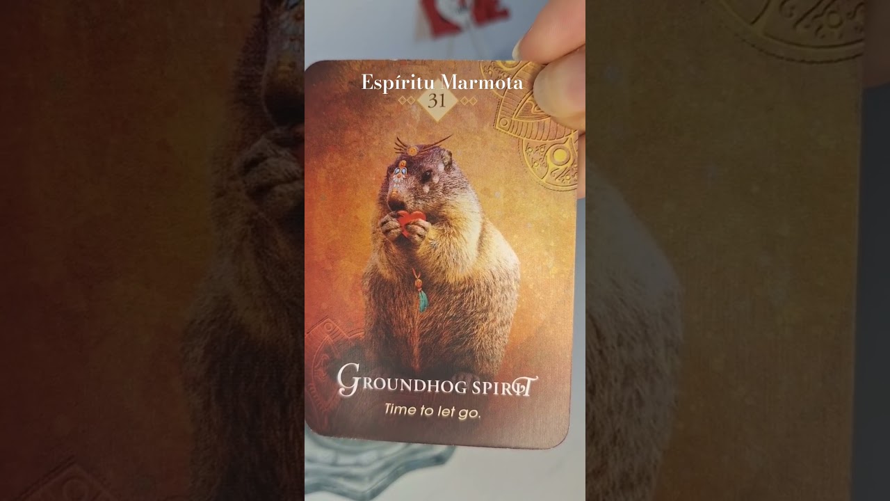 Marmota Esp&iacute;ritu #or&aacute;culo #cartasdetarot #tarotespiritual #aprendiendotarot #tarotespa&ntilde;ol #oraculo