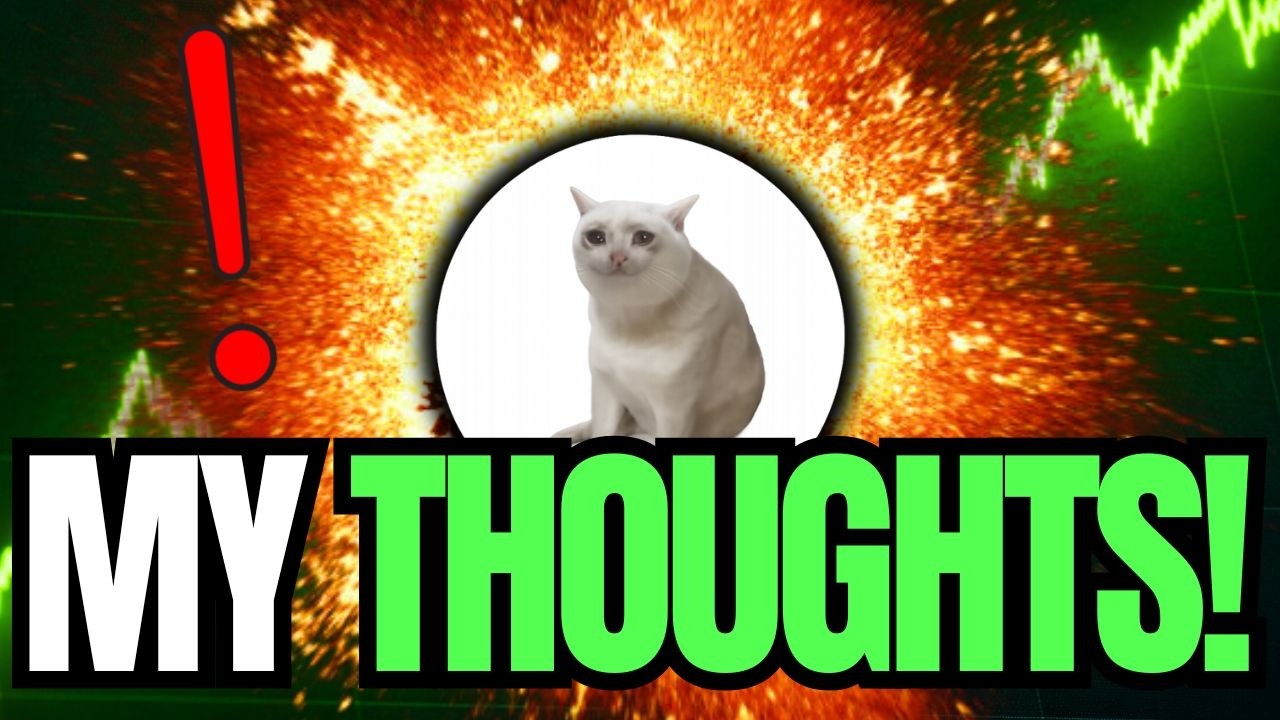 CASH CAT COIN WENT PARABOLIC !!! | MY HONEST THOUGHTS ON THE MOVE | CASH CAT PRICE PREDICTION🔥