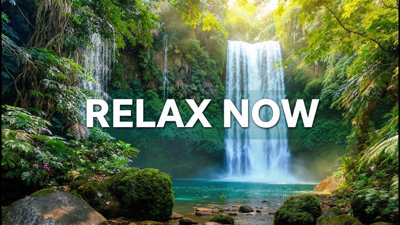 Relax Now | Calm Piano Music Live for Stress Relief