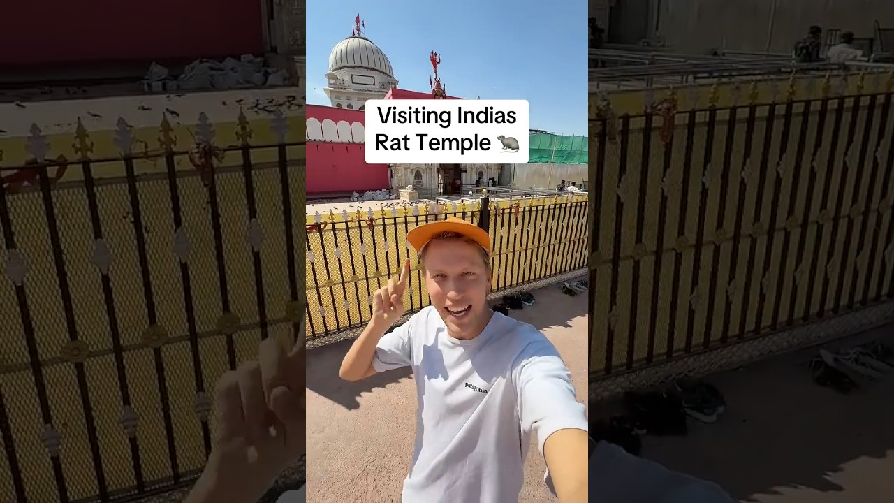 Visiting A RAT TEMPLE in India
