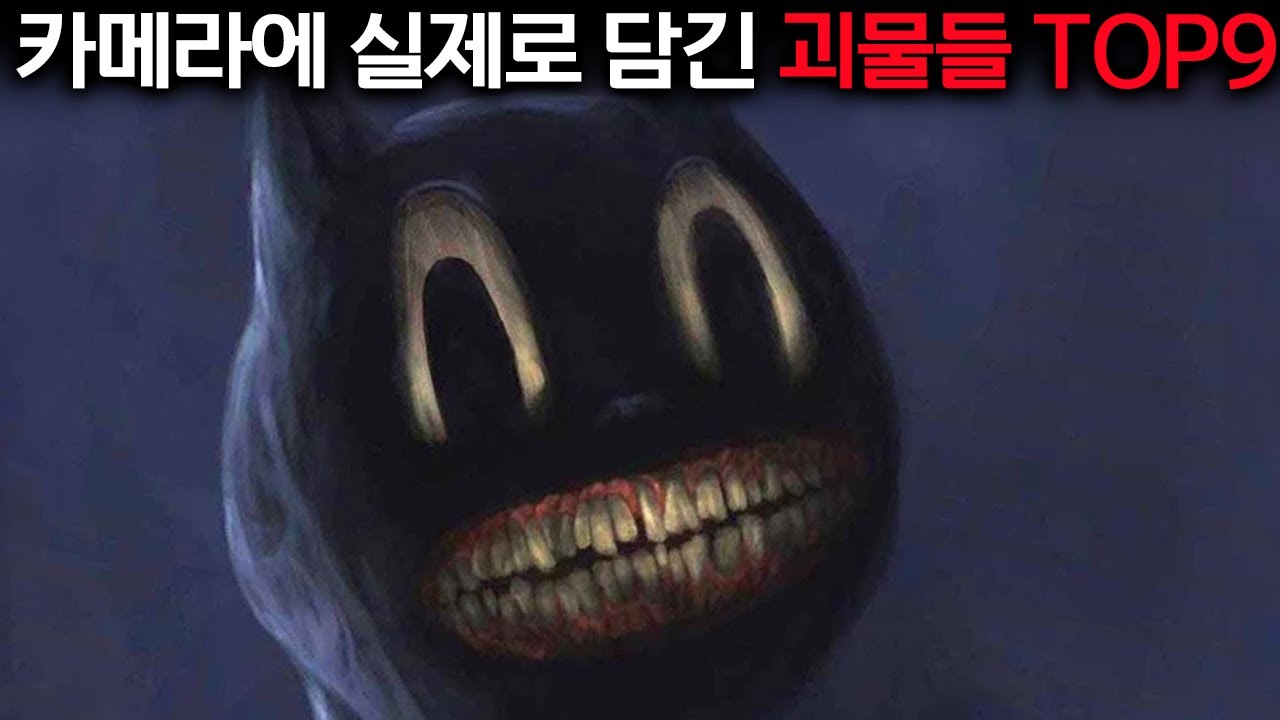 카툰캣이 뭐야?