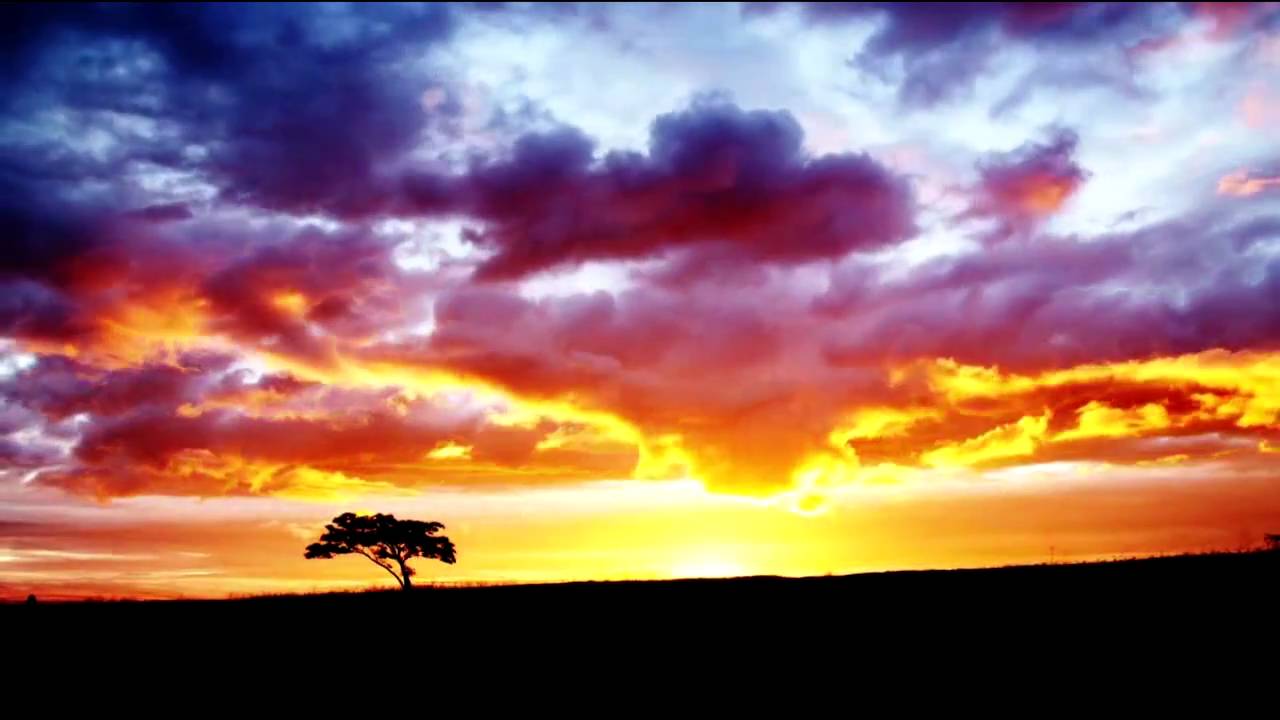 Ralph Fritsch - Phoenix (Original Mix)
