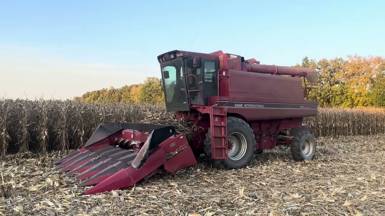 Shelling Corn 2024