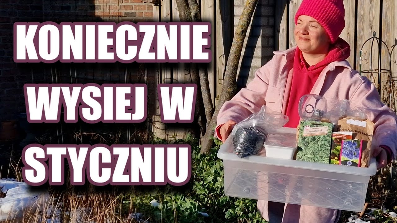 Wysiew zimowy ❄️ KOMPLETNY PORADNIK + lista roślin na styczeń 2025