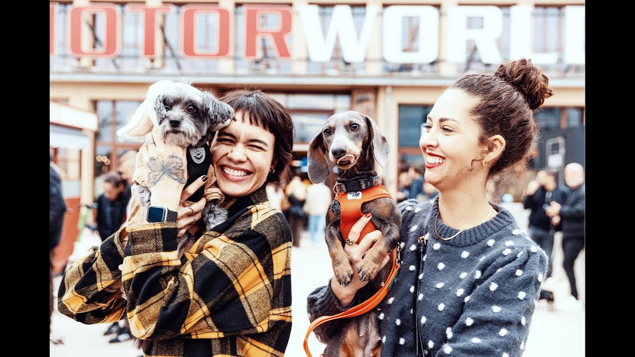 DackelRace & DogWorld 2024