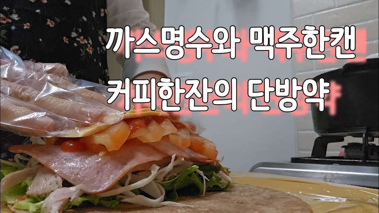 어떤 단방약이 필요한 오십대 주부/집밥/일기쓰기