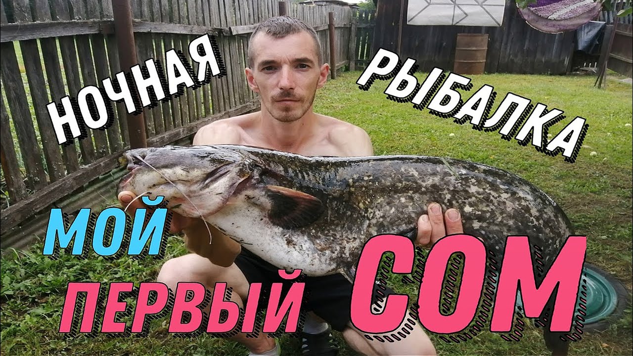 НОЧНАЯ РЫБАЛКА на СОМА ( РЖАВАЯ БЛЕСНА СПАСЛА СИТУАЦИЮ )