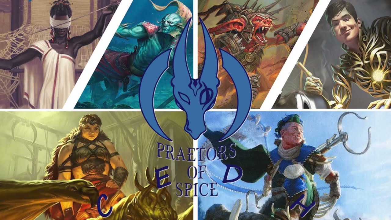 CEDH TNT VS. ROGSI VS. KINNAN VS. MAGDA 